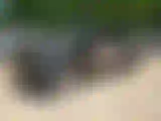 Vehicle Image- 2022 Chevrolet Silverado
