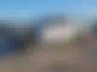 Vehicle Image- 2024 Chevrolet Silverado