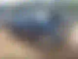 Vehicle Image- 2024 Chevrolet Silverado