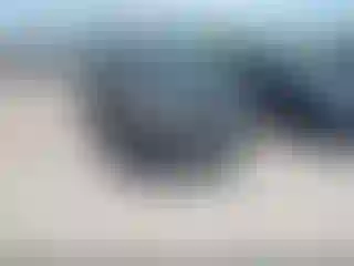 Vehicle Image- 2008 Chevrolet Silverado