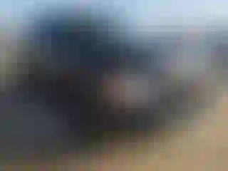 Vehicle Image- 2008 Chevrolet Silverado