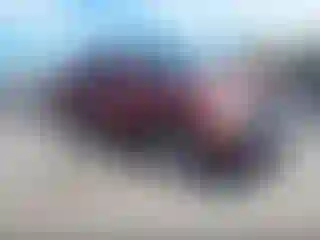 Vehicle Image- 2008 Chevrolet Silverado