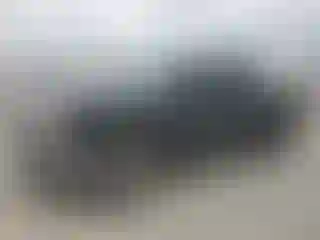 Vehicle Image- 2004 Chevrolet Silverado