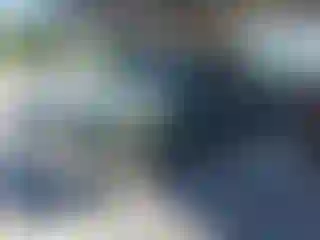 Vehicle Image- 2004 Chevrolet Silverado