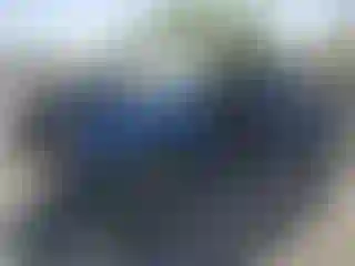 Vehicle Image- 2004 Chevrolet Silverado