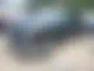 Vehicle Image- 2006 Chevrolet Silverado