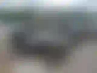Vehicle Image- 2008 Chevrolet Silverado