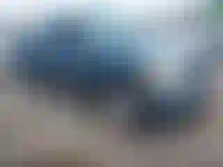 Vehicle Image- 2008 Chevrolet Silverado