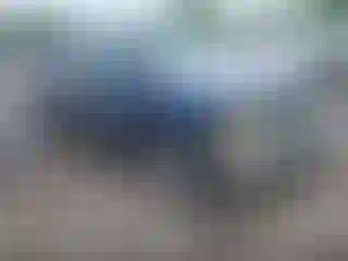 Vehicle Image- 1994 Chevrolet GMT-400