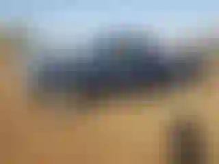 Vehicle Image- 1994 Chevrolet GMT-400