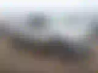 Vehicle Image- 2004 Chevrolet Silverado