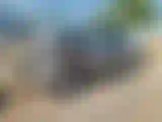 Vehicle Image- 2001 Chevrolet Silverado
