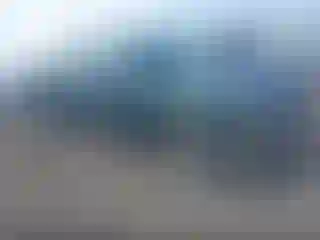 Vehicle Image- 2004 Chevrolet Silverado