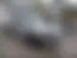 Vehicle Image- 2000 Chevrolet Silverado