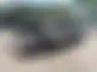 Vehicle Image- 1999 Chevrolet Silverado