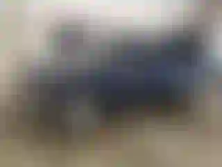 Vehicle Image- 2002 Chevrolet Silverado