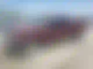 Vehicle Image- 2003 Chevrolet Silverado