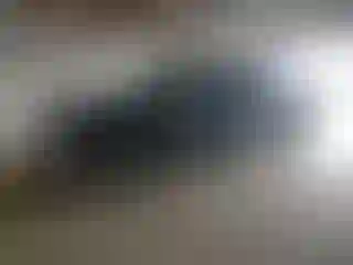 Vehicle Image- 2004 Chevrolet Silverado