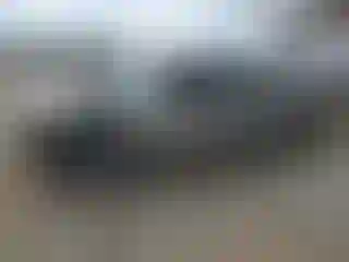 Vehicle Image- 1999 Chevrolet Silverado
