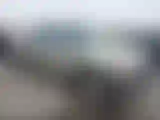 Vehicle Image- 2002 Chevrolet Silverado