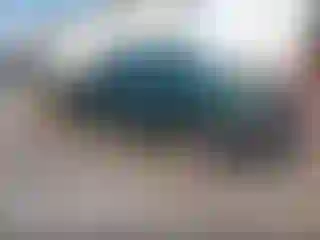 Vehicle Image- 2002 Chevrolet Silverado