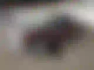 Vehicle Image- 2001 Chevrolet Silverado