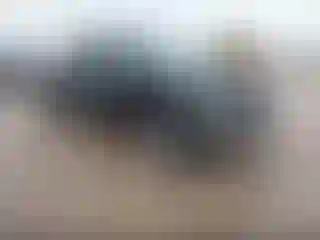 Vehicle Image- 2002 Chevrolet Silverado