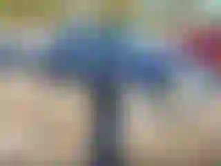 Vehicle Image- 1996 Chevrolet GMT-400