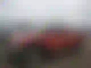 Vehicle Image- 2001 Chevrolet Silverado