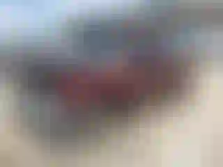 Vehicle Image- 2003 Chevrolet Silverado