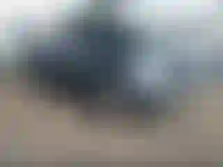 Vehicle Image- 2007 Chevrolet Silverado