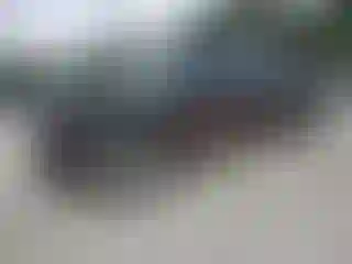 Vehicle Image- 2006 Chevrolet Silverado