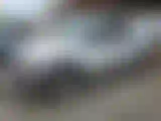 Vehicle Image- 2005 Chevrolet Silverado