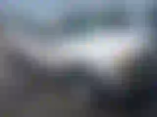 Vehicle Image- 2005 Chevrolet Silverado