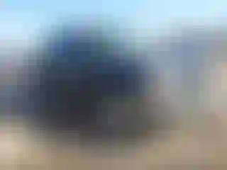 Vehicle Image- 2005 Chevrolet Silverado