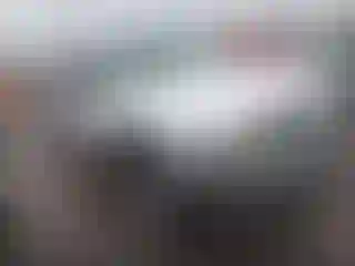 Vehicle Image- 2005 Chevrolet Silverado