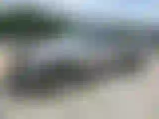 Vehicle Image- 2004 Chevrolet Silverado