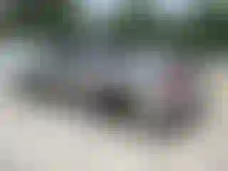 IMPORTOWO.pl