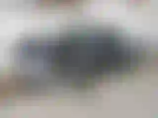 Vehicle Image- 2007 Chevrolet Silverado