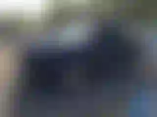 Vehicle Image- 2008 Chevrolet Silverado