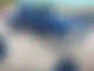 Vehicle Image- 2005 Chevrolet Silverado