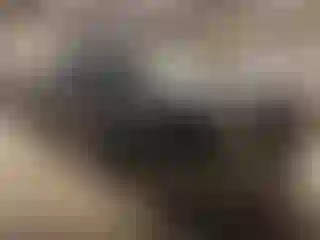 Vehicle Image- 2006 Chevrolet Silverado