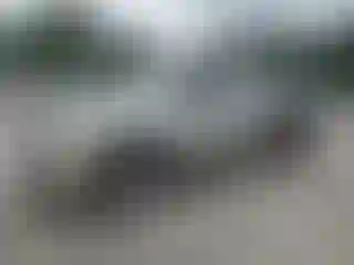 Vehicle Image- 2007 Chevrolet Silverado