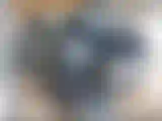 Vehicle Image- 2008 Chevrolet Silverado