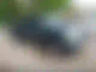 Vehicle Image- 2008 Chevrolet Silverado
