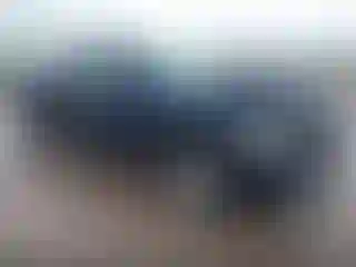 Vehicle Image- 2007 Chevrolet Silverado