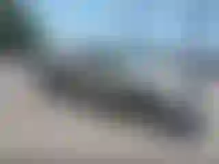 Vehicle Image- 2007 Chevrolet Silverado