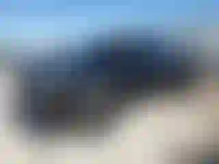 Vehicle Image- 2004 Chevrolet Silverado