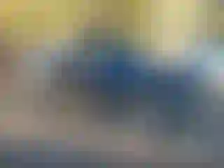 Vehicle Image- 1996 Chevrolet GMT-400