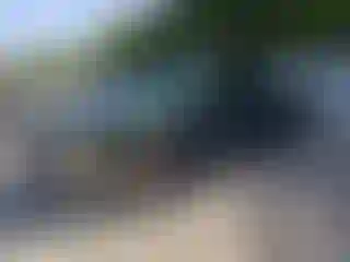 Vehicle Image- 2001 Chevrolet Silverado